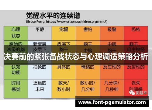决赛前的紧张备战状态与心理调适策略分析